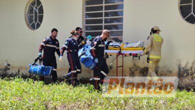 Fotos de Trabalhador é intubado após ser atacado por dois pitbulls, em Maringá