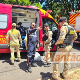 Trabalhador é intubado após ser atacado por dois pitbulls, em Maringá Foto 12 Fotos de Trabalhador é intubado após ser atacado por dois pitbulls, em Maringá