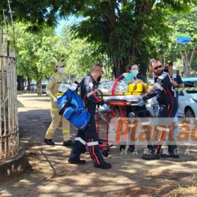 Trabalhador é intubado após ser atacado por dois pitbulls, em Maringá Foto 3 Fotos de Trabalhador é intubado após ser atacado por dois pitbulls, em Maringá