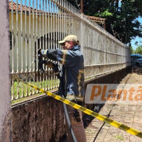 Trabalhador é intubado após ser atacado por dois pitbulls, em Maringá Foto 1 Fotos de Trabalhador é intubado após ser atacado por dois pitbulls, em Maringá