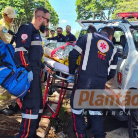 Trabalhador é intubado após ser atacado por dois pitbulls, em Maringá Foto 5 Fotos de Trabalhador é intubado após ser atacado por dois pitbulls, em Maringá