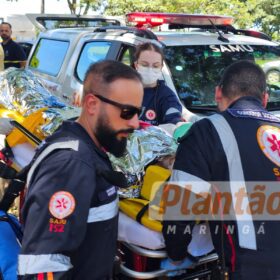 Trabalhador é intubado após ser atacado por dois pitbulls, em Maringá Foto 6 Fotos de Trabalhador é intubado após ser atacado por dois pitbulls, em Maringá