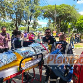 Trabalhador é intubado após ser atacado por dois pitbulls, em Maringá Foto 7 Fotos de Trabalhador é intubado após ser atacado por dois pitbulls, em Maringá