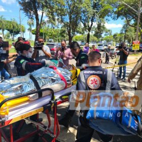 Trabalhador é intubado após ser atacado por dois pitbulls, em Maringá Foto 9 Fotos de Trabalhador é intubado após ser atacado por dois pitbulls, em Maringá