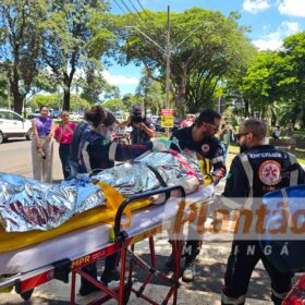 Trabalhador é intubado após ser atacado por dois pitbulls, em Maringá Foto 10 Fotos de Trabalhador é intubado após ser atacado por dois pitbulls, em Maringá