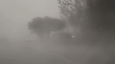 Fotos de Fenômeno coloca Paraná na rota das tempestades; veja a previsão