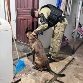 Fotos de Gaeco cumpre 20 mandados de prisão contra líderes de facção em Maringá e outras cidades do Paraná