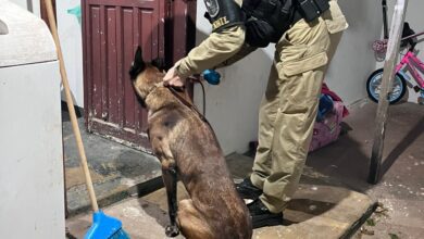 Fotos de Gaeco cumpre 20 mandados de prisão contra líderes de facção em Maringá e outras cidades do Paraná