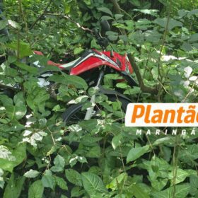 GCM localiza “cemitério” de motos roubadas em Maringá Foto 2 Fotos de GCM localiza “cemitério” de motos roubadas em Maringá