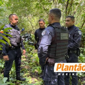 GCM localiza “cemitério” de motos roubadas em Maringá Foto 4 Fotos de GCM localiza “cemitério” de motos roubadas em Maringá