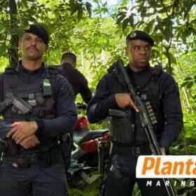 GCM localiza “cemitério” de motos roubadas em Maringá Foto 5 Fotos de GCM localiza “cemitério” de motos roubadas em Maringá