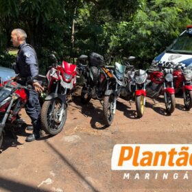 GCM localiza “cemitério” de motos roubadas em Maringá Foto 6 Fotos de GCM localiza “cemitério” de motos roubadas em Maringá