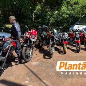 GCM localiza “cemitério” de motos roubadas em Maringá Foto 8 Fotos de GCM localiza “cemitério” de motos roubadas em Maringá