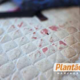 Fotos de Homem de 34 anos é esfaqueado durante briga em terreno baldio em Maringá