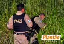 Fotos de Homem é encontrado morto em matagal às margens do Contorno Norte, em Maringá
