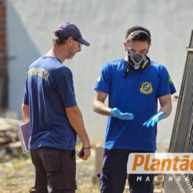 Fotos de Homem é encontrado morto em terreno baldio em Sarandi; caso é investigado