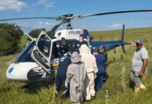 Fotos de Homem sofre cerca de 100 picadas de abelhas e fica gravemente ferido na região