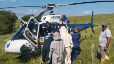 Fotos de Homem sofre cerca de 100 picadas de abelhas e fica gravemente ferido na região