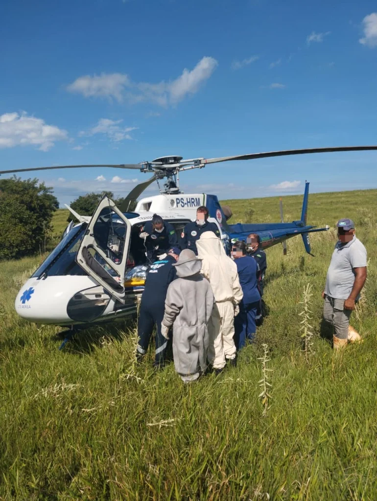 Fotos de Homem sofre cerca de 100 picadas de abelhas e fica gravemente ferido na região