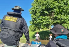 Fotos de IAT apreende 222 quilos de peixe e aplica R$ 169,2 mil em multas durante a Piracema