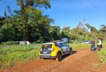 Fotos de Motorista desvia de árvore caída na rodovia e morre após colisão frontal na região de Maringá
