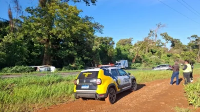 Fotos de Motorista desvia de árvore caída na rodovia e morre após colisão frontal na região de Maringá