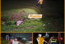 Fotos de Pai morre e filho fica ferido após carro capotar ao atropelar capivara em Maringá