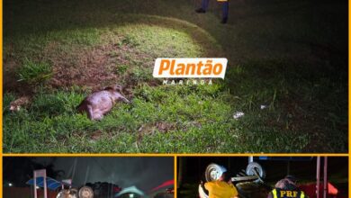 Fotos de Pai morre e filho fica ferido após carro capotar ao atropelar capivara em Maringá
