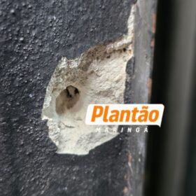 Fotos de Policial penal reage a ataque, troca tiros com criminosos e um suspeito acaba preso em Maringá