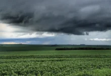 Fotos de Primeira onda de frio intenso já tem data para chegar ao Paraná; veja os detalhes