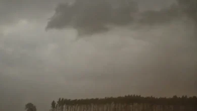 Fotos de Tempo vira nas próximas horas e 252 cidades do Paraná entram alerta de tempestade; veja a lista