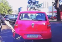 Fotos de Bolsa ‘pega carona’ em carro e jovem sai correndo atrás em avenida de Maringá; vídeo