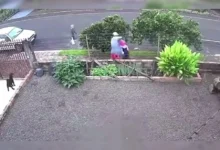 Fotos de Câmera registra últimos momentos de adolescente vítima de feminicídio no PR