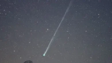 Fotos de Cometa raro poderá ser visto em Maringá a partir deste sábado, 18; veja orientações para visualizar o fenômeno