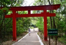 Fotos de Fechado desde 2021, Jardim Japonês do Parque do Ingá será reaberto neste domingo