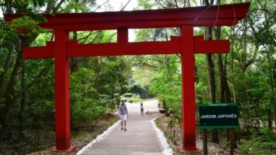 Fotos de Fechado desde 2021, Jardim Japonês do Parque do Ingá será reaberto neste domingo