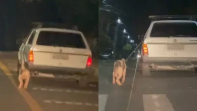 Fotos de Homem é preso após arrastar cachorro até a morte; VÍDEO