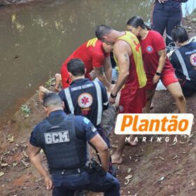 Fotos de Homem é resgatado e está sendo reanimado após afogamento em córrego nos fundos do Parque Ecológico de Sarandi