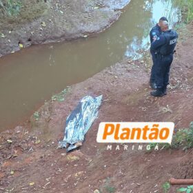 Fotos de Homem não resiste e morre após afogamento em córrego nos fundos do Parque Ecológico de Sarandi