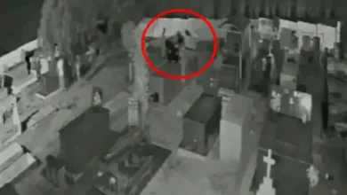 Fotos de Oito túmulos são violados e corpo desaparece de cemitério após 3 meses; vídeo