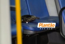 Fotos de Homem morre após ser esfaqueado dentro de ônibus em Maringá