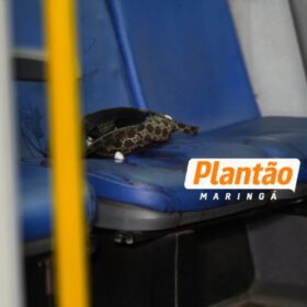 Fotos de Homem morre após ser esfaqueado dentro de ônibus em Maringá