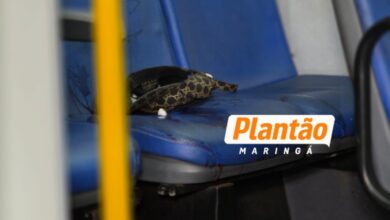Fotos de Homem morre após ser esfaqueado dentro de ônibus em Maringá