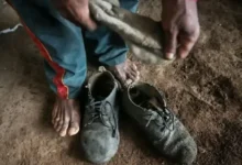 Fotos de Lista de trabalho escravo traz Amado Batista e BYD; Paraná aparece com 17 empregadores