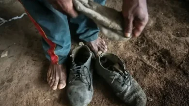 Fotos de Lista de trabalho escravo traz Amado Batista e BYD; Paraná aparece com 17 empregadores