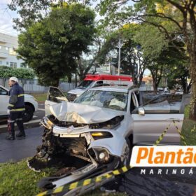 Fotos de Moça fica ferida após perder o controle de carro e atingir árvore em Maringá