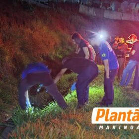 Motociclista desaparecido é encontrado ao lado de moto em canaleta na BR-376; morte misteriosa mobiliza polícia Foto 3 Fotos de Motociclista desaparecido é encontrado ao lado de moto em canaleta na BR-376; morte misteriosa mobiliza polícia