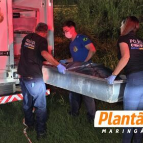 Motociclista desaparecido é encontrado ao lado de moto em canaleta na BR-376; morte misteriosa mobiliza polícia Foto 8 Fotos de Motociclista desaparecido é encontrado ao lado de moto em canaleta na BR-376; morte misteriosa mobiliza polícia