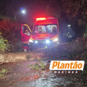 Motociclista fica preso por 30 minutos após árvore cair sobre ele durante forte vento em Maringá; Vídeo Foto 6 Fotos de Motociclista fica preso por 30 minutos após árvore cair sobre ele durante forte vento em Maringá; Vídeo