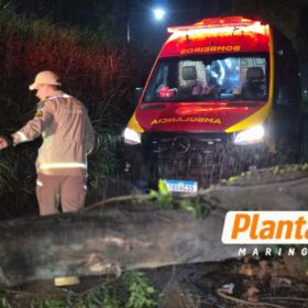 Motociclista fica preso por 30 minutos após árvore cair sobre ele durante forte vento em Maringá; Vídeo Foto 7 Fotos de Motociclista fica preso por 30 minutos após árvore cair sobre ele durante forte vento em Maringá; Vídeo